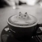 Immagine 6 azienda CAFFÈ PERÙ Tavola calda in Roma