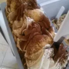 Immagine 4 azienda CAFFETTERIA TIBERINI Tabaccheria in Gessopalena CH
