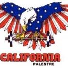 Immagine 7 azienda CALIFORNIA GYM PALESTRE Sport e tempo libero in Trieste