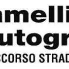Immagine 1 azienda CAMELLINI AUTOGRÙ Veicoli in Modena