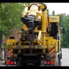 Immagine 3 azienda CAMELLINI AUTOGRÙ Veicoli in Modena