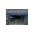 Immagine 2 azienda CAMINISANI Spazzacamini in Pogliano Milanese MI