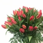 Immagine 3 azienda CAMMAROTA FIORI NAPOLI Shopping e acquisti in Napoli