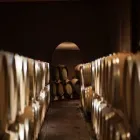 Immagine 4 azienda CANTINA GIRLAN Negozio di vini in Appiano Sulla Strada Del Vino BZ