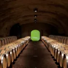 Immagine 1 azienda CANTINA PRODUTTORI S. MICHELE APPIANO · KELLEREI ST. MICHAEL - EPPAN Shopping e acquisti in Appiano Sulla Strada Del Vino BZ