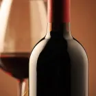 Immagine 5 azienda CANTINA SOCIALE ARI Negozio di vini in Ari CH