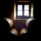 Immagine 8 azienda CANTINE FOLTRAN ANTONIO Industrie e agricoltura in Gaiarine TV