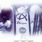 Immagine 8 azienda CAR CONSORZIO ARTIGIANI ROMAGNOLO SOC. COOP. Sport e tempo libero in Rimini