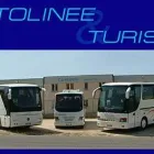 Immagine 6 azienda CAREDDU AUTOLINEE Servizi professionali in Tempio Pausania OT