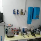 Immagine 1 azienda CARROZZERIA ELEGANT Veicoli in Savignano Sul Rubicone FC