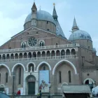 Immagine 1 azienda CARTA DA PARATI MUSETTI Shopping e acquisti in Roma