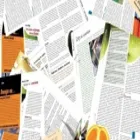 Immagine 3 azienda CARTOLERIA GEROLIMON BRUNO Shopping e acquisti in Costabissara VI