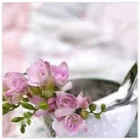 Immagine 2 azienda CASA ABBRACCI Servizi professionali in Ferrara