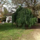 Immagine 3 azienda CASA ABBRACCI Servizi professionali in Ferrara