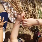 Immagine 1 azienda CASA DEI BAMBINI - SCUOLA MONTESSORI ONLUS Scuola primaria in Milano