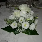Immagine 4 azienda CASA DEL FIORE DI NAPOLI DONATELLA Shopping e acquisti in Pisa