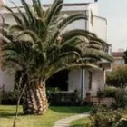 Immagine 1 azienda CASA DI RIPOSO LA PALMA Servizi professionali in Fregene Rm