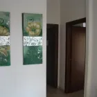 Immagine 3 azienda CASA DI RIPOSO NUOVA FENICE Servizi professionali in Elmas CA