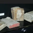 Immagine 4 azienda CASA DI RIPOSO SILVIO SILVATICI CAMPOSTRINI Servizi professionali in Vicopisano PI
