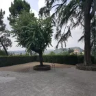 Immagine 3 azienda CASA DI RIPOSO VILLA SANTA TERESA Servizi professionali in Bagno A Ripoli FI