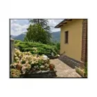 Immagine 3 azienda CASA FAMIGLIA IL SORRISO DI CARMEN Servizio di assistenza domiciliare in Villa D'aiano BO