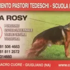 Immagine 1 azienda CASA ROSY Viaggi e turismo in Giugliano In Campania NA