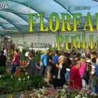 Immagine 4 azienda CASANATURA VIVAIO Vivaio in Talsano Ta