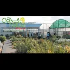 Immagine 5 azienda CASANATURA VIVAIO Vivaio in Talsano Ta