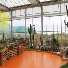 Immagine 8 azienda CASANATURA VIVAIO Vivaio in Talsano Ta