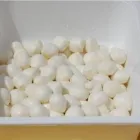 Immagine 4 azienda CASEIFICIO BIOMILK Shopping e acquisti in Monreale PA