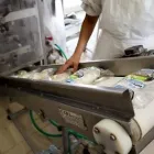 Immagine 2 azienda CASEIFICIO GAMBONE Industrie e agricoltura in Montella AV