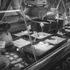 Immagine 10 azienda CASEIFICIO SAN MARCO Industrie e agricoltura in Taranto