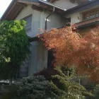 Immagine 7 azienda CASSANI IMPRESA Servizi professionali in Vanzago MI