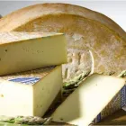 Immagine 2 azienda CASTELLANZA FORMAGGI SPA Shopping e acquisti in Busto Arsizio VA