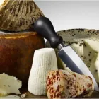 Immagine 3 azienda CASTELLANZA FORMAGGI SPA Shopping e acquisti in Busto Arsizio VA