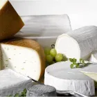 Immagine 7 azienda CASTELLANZA FORMAGGI SPA Shopping e acquisti in Busto Arsizio VA