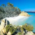 Immagine 5 azienda CASTIGLIONE VIAGGI Viaggi e turismo in Bologna