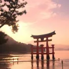 Immagine 6 azienda CASTIGLIONE VIAGGI Viaggi e turismo in Bologna