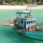 Immagine 7 azienda CASTIGLIONE VIAGGI Viaggi e turismo in Bologna