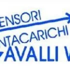 Immagine 4 azienda CAVALLI WILLIAM E C. Servizi professionali in Parma