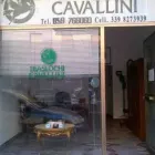 Immagine 4 azienda CAVALLINI TRASLOCHI Traslochi in Modena