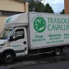 Immagine 7 azienda CAVALLINI TRASLOCHI Traslochi in Modena