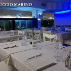 Immagine 5 azienda CAVALLUCCIO MARINO Tavola calda in Riccione RN