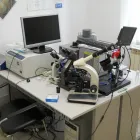 Immagine 6 azienda CBF LABORATORI Istruzione e formazione in Montecastrilli
