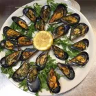 Immagine 4 azienda CENTO PANINI Ristorante in Palermo