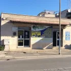 Immagine 1 azienda CENTO SERVIZI Veicoli in Nettuno RM