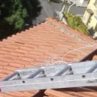 Immagine 2 azienda CENTRO ASSISTENZA TECNICA PALUMBO Veicoli in Guidonia Montecelio RM