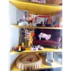 Immagine 7 azienda CENTRO BENESSERE ANIMALI Shopping e acquisti in San Giovanni La Punta CT