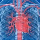 Immagine 4 azienda CENTRO CARDIOLOGICO VESUVIANO Salute in Portici NA
