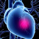 Immagine 6 azienda CENTRO CARDIOLOGICO VESUVIANO Salute in Portici NA